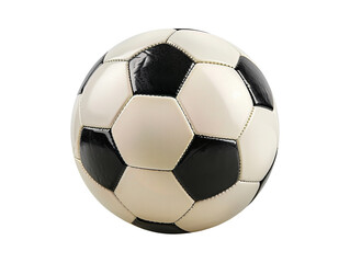 Fototapeta premium soccer ball isolated