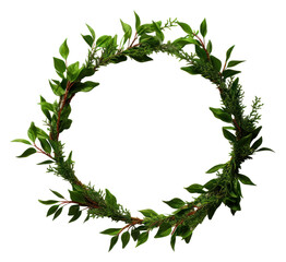 Naklejka premium PNG Christmas wreath plant leaf white background. 