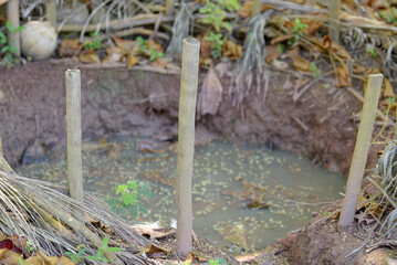  abandoned in a vase with stagnant water inside. close up view. mosquitoes in potential breeding ground.
