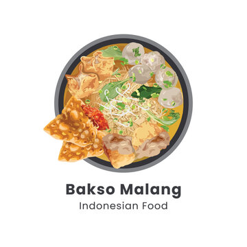 Hand drawn vector illustration of Bakso Malang or Meatballs soup served with noodles, tofu and fried dumpling (pangsit) traditional Indonesian food