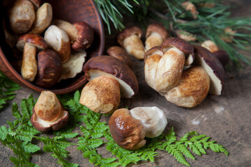 Imleria Badia or Boletus badius mushrooms commonly known as the bay bolete and Porcini mushroom commonly known as Boletus Edulis, clay bowl with mushrooms on vintage wooden background..