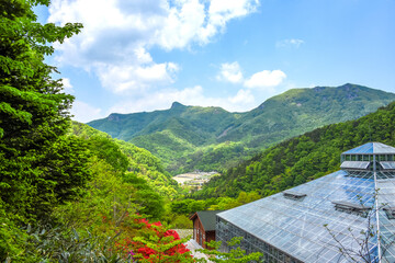 대아수목원의 봄 풍경-Spring landscape of Dae-A Arboretum, Wanju, Jeollabuk-do, South Korea