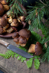 Imleria Badia or Boletus badius mushrooms commonly known as the bay bolete, clay plate with mushrooms and knife on vintage wooden background..