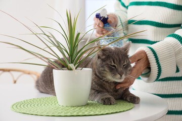 Senior woman with cute cat watering plant on table in kitchen, closeup