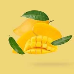 Falling Fresh mango fruit with leaves on yellow background.