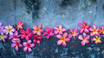 Poster Plumeria blossoms in pink and yellow on the wall s edge © 2rogan