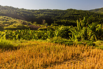View of a landscape near Luang Namtha town, Laos