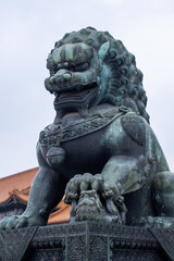 chinese lion statue in forbidden city