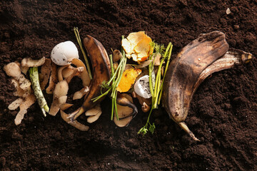 Organic waste on soil, closeup. Compost recycling concept
