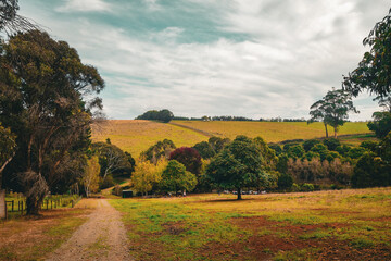 Fototapeta premium landscape in autumn