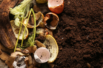 Organic waste on soil, closeup. Compost recycling concept