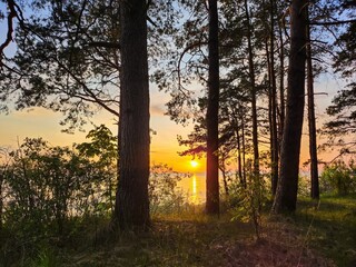 Picturesque sunset through dark silhouettes of pine tree trunks in the forest by the lake, warm colors of the sky and water surface with reflection, travel and nature photography background