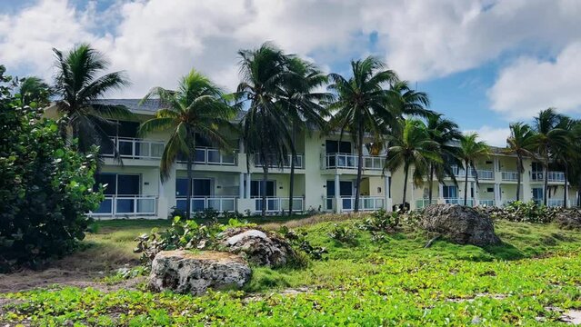 Varadero, Cuba, 03.12.2023. Coconut palm leaves sway in the wind on the territory of a hotel with white buildings in Cuba. Vacation on the Caribbean coast on Liberty Island. 4К