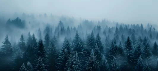 Fotobehang Fir forest on mountain slopes with misty fog and color toning Green mountain forest in the fog. Evergreen spruce and pine trees on the slopes. © kalsoom