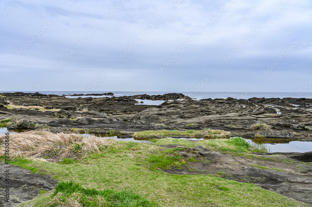 Wall mural 神奈川県三浦市城ヶ島