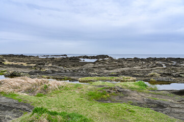 神奈川県三浦市城ヶ島