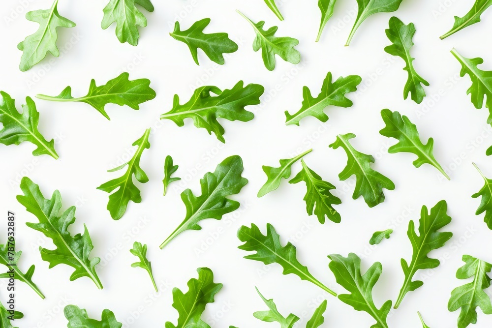 Sticker Fresh arugula leaves on white background top view