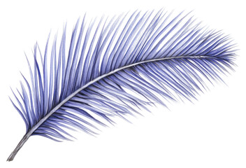 PNG  Drawing palm sketch plant leaf