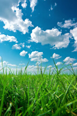 Obraz premium Grass under a blue sky in a style that emphasizes panoramic scale and sustainable design.