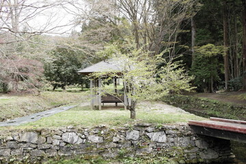 丹生都比売神社の桜
