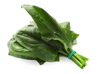 Bunch of fresh spinach leaves isolated on white