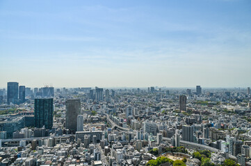 Obraz premium 日本の首都東京