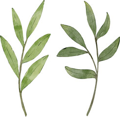 alphabet frame and cactus plant 