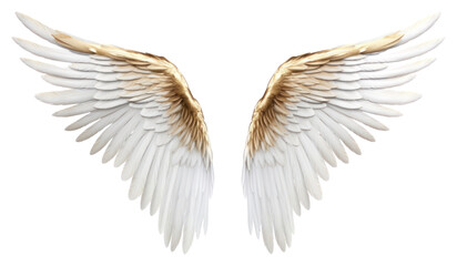 PNG White and gold angle wing flying angel bird.