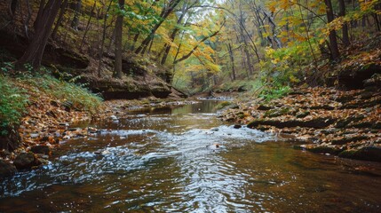 Picturesque stream in fall