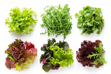 Assorted salads on white background