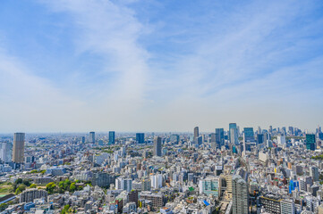 Fototapeta premium 日本の首都東京の都市風景