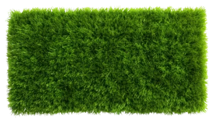 Keuken achterwand Gras PNG Green grass field backgrounds plant green. AI generated Image by rawpixel.  © Rawpixel.com