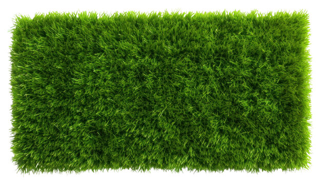 PNG Green grass field backgrounds plant green. AI generated Image by rawpixel.