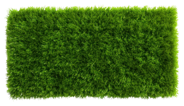 PNG Green grass field backgrounds plant green. AI generated Image by rawpixel.