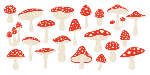 Vector Hand Drawn Cartoon Fly Agaric Mushrooms. Amanita Muscaria, Fly Agaric Illustration, Mushrooms Collection. Magic Mushroom Set, Design Template