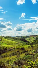 Fototapeta na wymiar Photographs a vibrant, sunny day on the land, emphasizing the lush greens that hint at fertile soil and abundant possibilities for agricultural use
