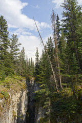 Maligne Canyon in the Summer