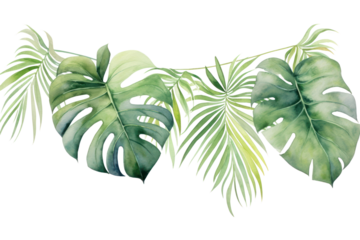 PNG Tropical leaves tropics plant leaf