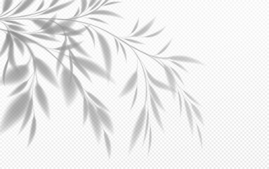 Realistic Transparent Shadow Bamboo Branch With Leaves Isolated Transparent Background Vector Illust
