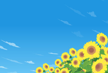 ひまわり畑と夏の青空のイラスト

