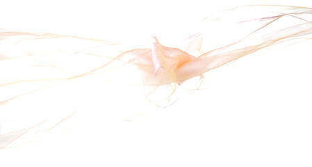 Orange Organza fabric flying in curve shape, Piece of textile orange organza fabric throw fall in air. White background isolated motion blur