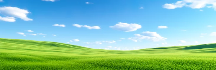 Photo sur Plexiglas Vert-citron landscape background of green field slope in fresh moody.nature outdoor view.banner size
