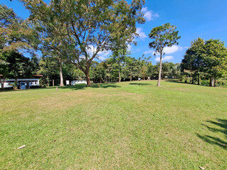beautiful landscape with a green grass