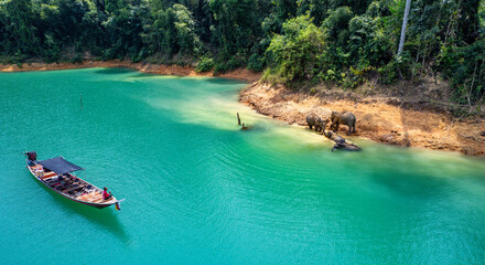 Encounter with a family of wild elephants in Khao Sok national park, on the Cheow lan lake in Surat Thani, Thailand