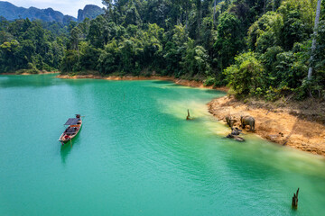 Encounter with a family of wild elephants in Khao Sok national park, on the Cheow lan lake in Surat Thani, Thailand - obrazy, fototapety, plakaty