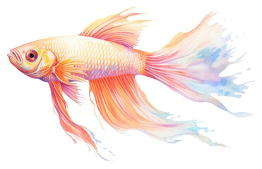 Fototapeta premium PNG Fish fish goldfish animal.