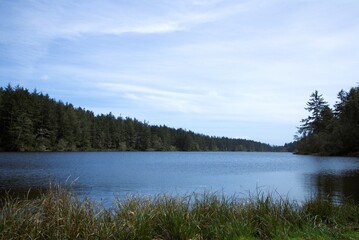 Obraz premium Landscape shot of clear blue lake surrounded by pine woodland in the background and a grassy meadow in the foreground, with clouds overhead. 