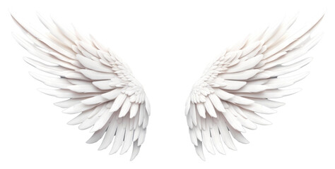 PNG Angel white wing art