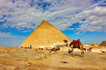 A Fully Bedecked Camel awaits tourists in front of the Great Pyramid of Khufu on the Giza plateau...
