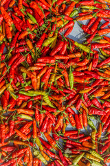 Fototapeta premium Chilli peppers being dried in Laos